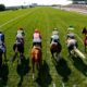 Top 10 Richest Horse Races Across The Globe