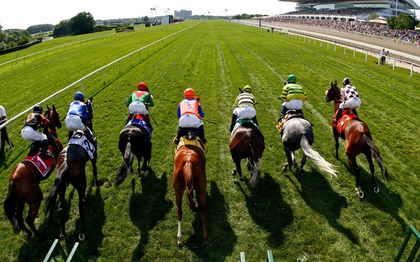 Top 10 Richest Horse Races Across The Globe