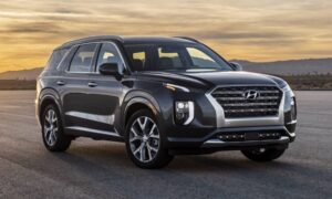 2021 Hyundai palisade- a beast that should be own by everyone